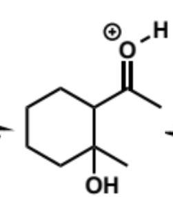 <p>next stages of intramolecular aldol (acid conditions)</p>