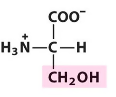 <p>What Amino Acid is This?</p>