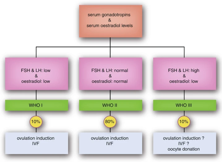 <ul>
<li><p>classified based on the assessment of both gonadotropins (LH and FSH) and serum oestradiol levels</p></li>
<li><p>low/normal LH+FSH and low oestradiol → suspect a ^^<strong>central</strong>^^ defect, usually leads to ==<strong>hypogonadotropic hypogonadism</strong>== = WHO I anovulation = 10% of cases</p></li>
<li><p>normal LH, FSH (usually LH&gt;FSH) and oestradiol levels → suspect a combined ^^<strong>central</strong>^^ and ^^<strong>peripheral</strong>^^ cause → ==<strong>normogonadotropic normo-oestrogenic</strong>== anovulation = WHO II = 80%</p>
<p>a few may also be diagnosed with PCOS (?)</p>
<p>this might be due to reduced hypothalamic feedback response to circulating sex steroids, especially ^^<strong>progesterone</strong>^^ → increased LH → increased stimulation of theca cells → may cause follicular arrest and cause the accumulation of antral follicles → polycystic anatomy</p></li>
<li><p>high LH+FSH (usually FSH&gt;LH due to the lack of inhibin feedback) but low oestradiol → suspect an ^^<strong>ovarian defect</strong>^^ → ==<strong>hypergonadotropic hypogonadism (</strong>==^^<strong>= primary hypogonadism</strong>^^==<strong>)</strong>== or ==<strong>primary ovarian insufficiency</strong>== (POI) = WHO III (10%)</p>
<p>may be caused by toxic causes (eg. CT or RT), ovarian surgery or genetic causes (most of them are linked to X chromosomal abnormalities, usually Turner. other = FMR1 gene)</p></li>
</ul>
<p>so,,,</p>
<p>central (hypothalamus or pituitary), peripheral (gonadal)</p>
<p>WHO I (central defect), WHO II or PCOS (combined defects) and WHO III or POI (gonadal defect)</p>