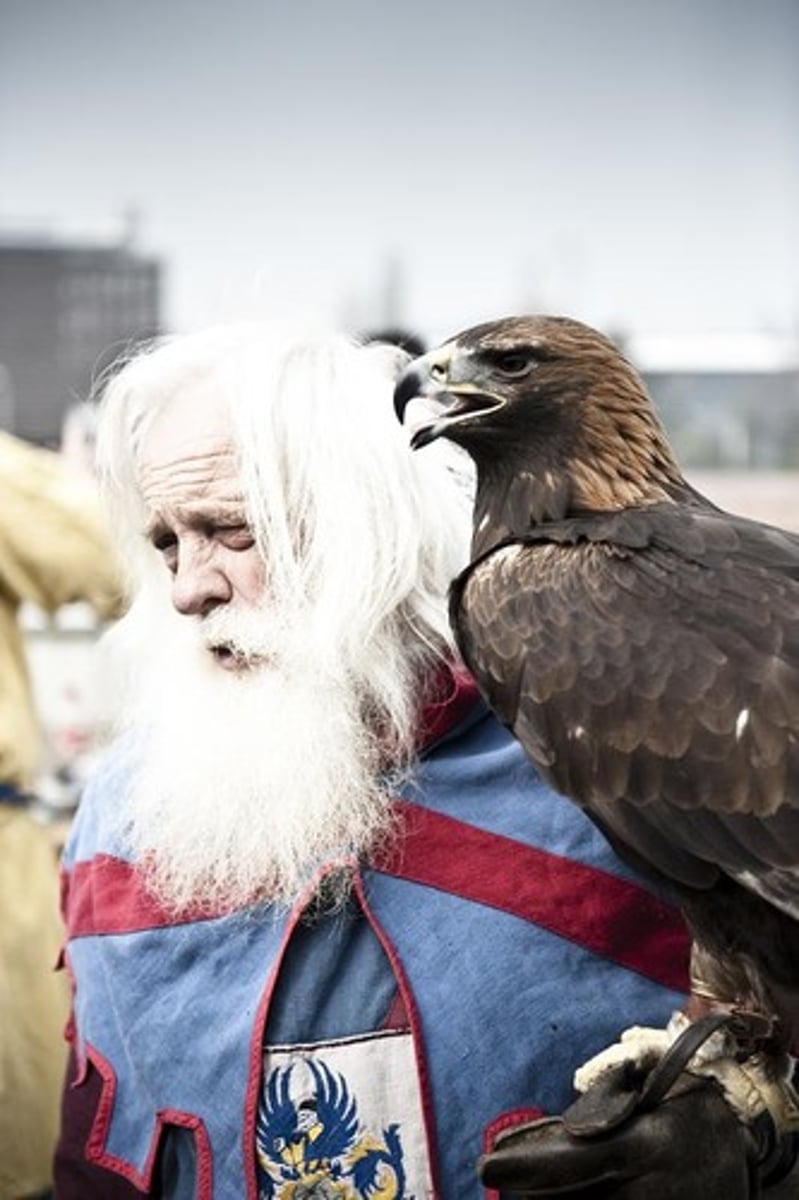 <p>a person training hawks or falcons — sokolnik</p>