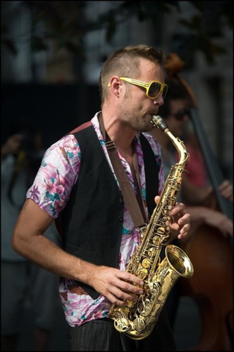 <p>musician</p>