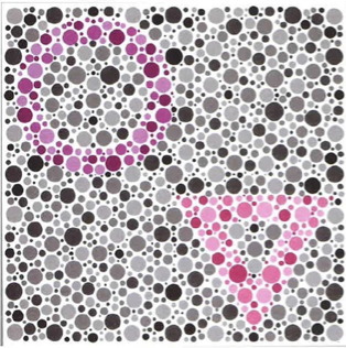 <p>What HRR plate is this?</p>