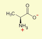<p>Alanine </p>