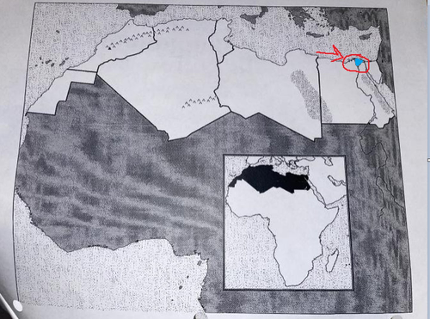 knowt flashcard image