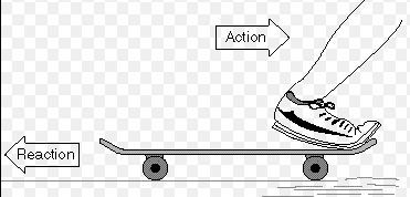 Newtons Third Law