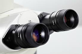 <p>the lens at the top of the microscope that the viewer looks through, typically providing magnification of 10x or more. </p>