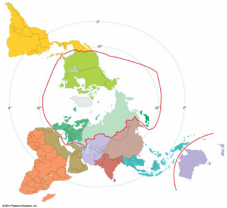 <p><span>The map shown above best illustrates the concept of:<br></span></p><ul><li><p><span>a. agglomeration economies</span></p></li><li><p><span>b. core-periphery theory</span></p></li><li><p><span>c. energy consumption</span></p></li><li><p><span>d. the technology gap</span></p></li><li><p><span>e. neocolonialism</span></p></li></ul>