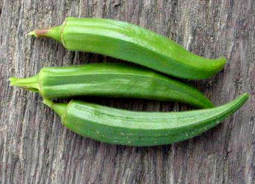 a long, narrow, green plant that has a thicker base with a small stem and a thinner point on the opposite end. Outside, it has a "striped" sort of texture, and on the inside it has hollow pieces (as pictured).