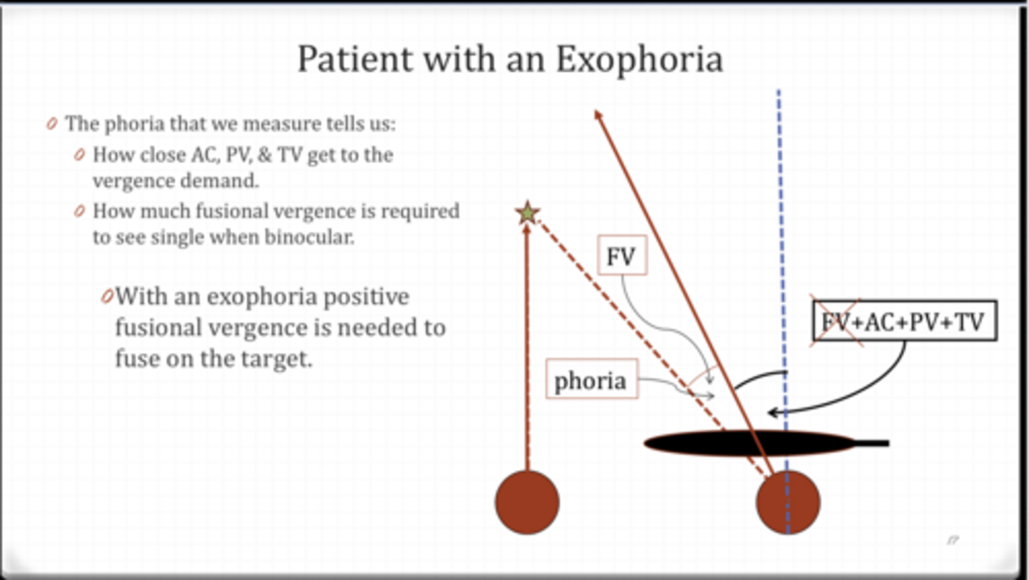 <p>Patient with an EXOphoria Example</p><p>What does a phoria that we measure tell us?</p>
