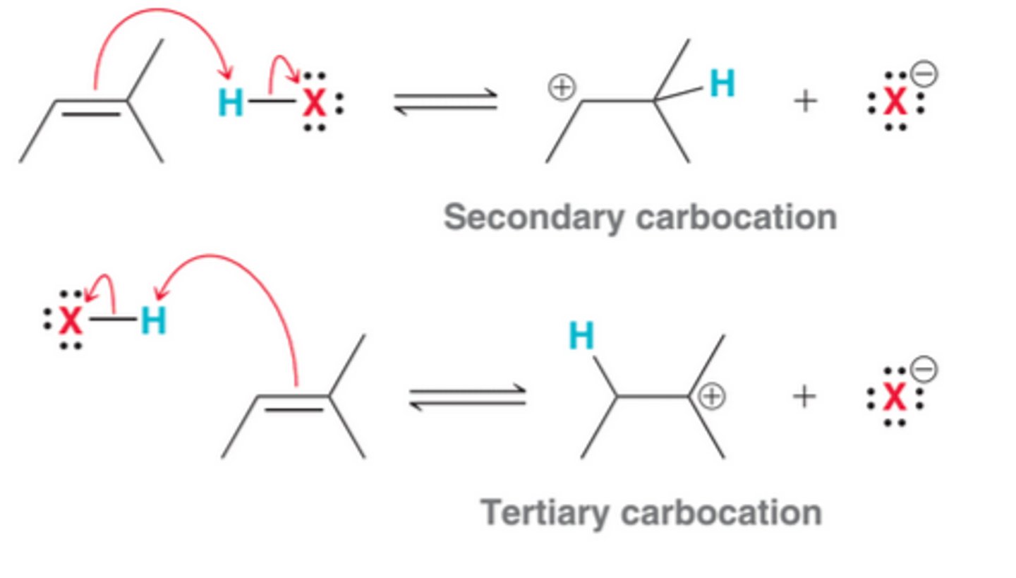 <p>In theory, protonation can occur with either of two regiochemical possibilities. It can either occur to form the less substituted, secondary carbocation, seen as 1st process in image, or occur to form the more substituted, tertiary carbocation, seen as 2nd process in image. Tertiary carbocation are more stable than secondary carbocations, due to hyperconjugation</p>