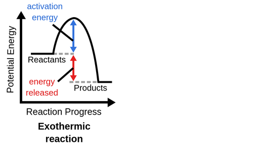 <p>What is an exothermic reaction categorized as?</p>