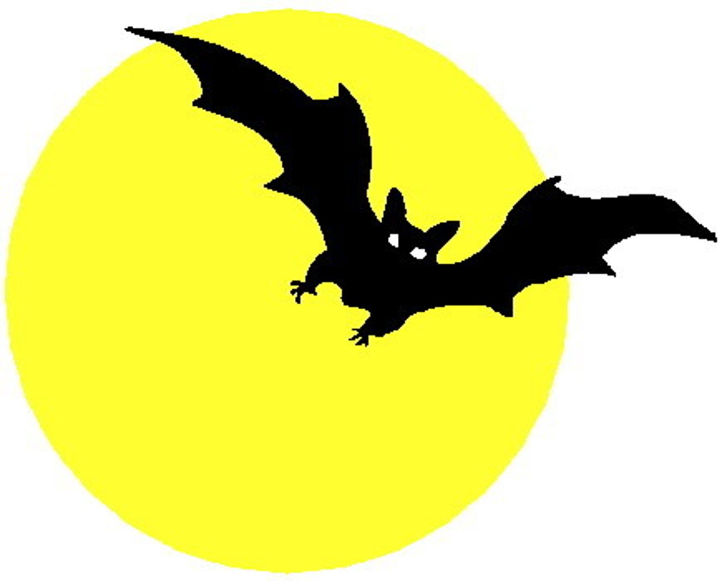<p>a bat</p>