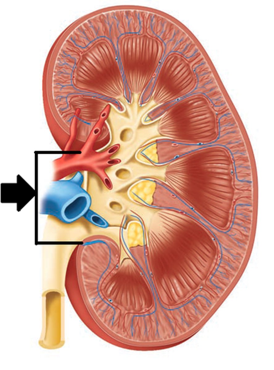 <p>What is the arrow pointing at?</p>