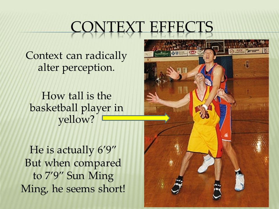 <p><strong><u>Influences on Perception (Mod 17)</u></strong></p><p>The perceptual set can be influenced by the context (expectations, motivation, and emotions.</p>