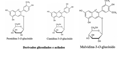 <p>Usada em fitomedicamentos</p><p>Possui compostos antocianicos acilados e glicosilados</p><p>Uso: frgilidade capilar cutânea, crise hemorroidária e insuf venosa </p>