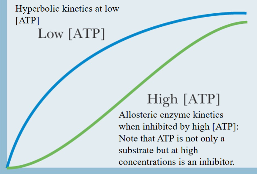 <p>ATP is not only a substrate but at high concentrations is an allosteric inhibitor </p>