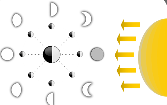 <p>Starting with new moon (the closest to the sun and going clockwise, name the moon phases in order:</p><p></p>