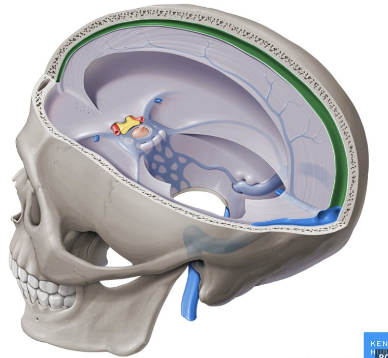 <p>how does cerebral spinal fluid exit the brain? </p>
