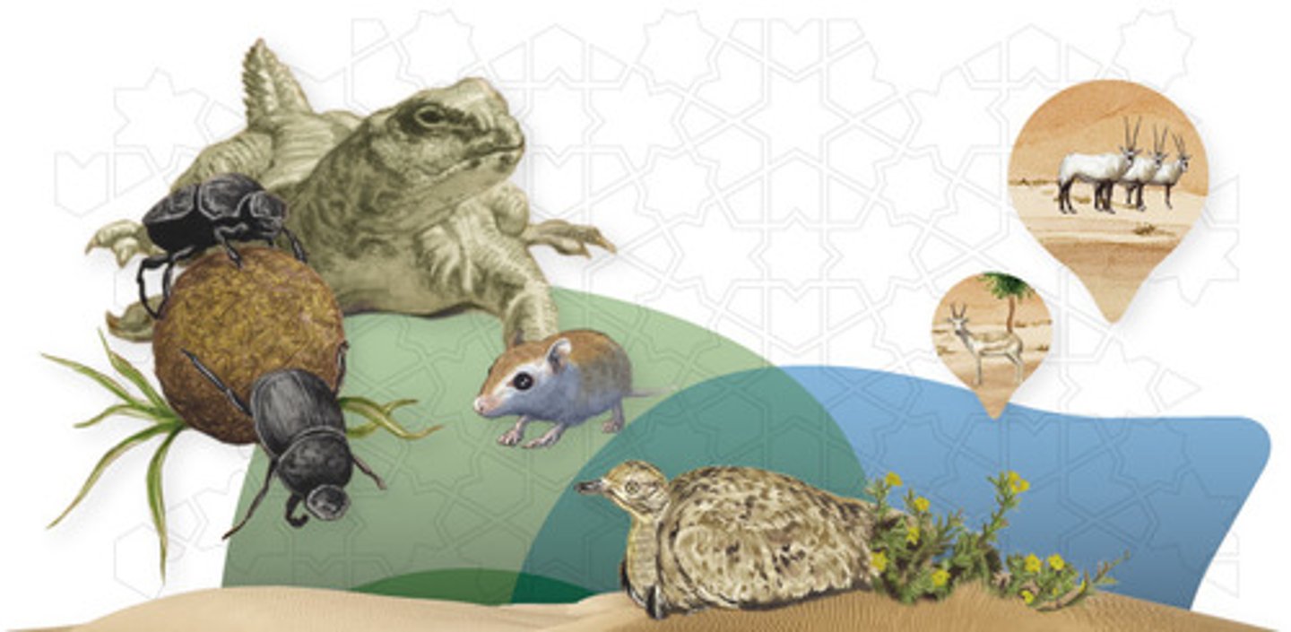 <p>Đa dạng sinh học</p>