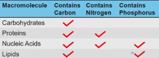 <p>Living systems require an exchange of matter because atoms and molecules from the environment are necessary to build new molecules. </p><p>As carbon is used to build biological molecules such as carbohydrates, proteins, nucleic acids, and lipids. </p><p>Or nitrogen is used to build proteins and nucleic acids.</p><p>And phosphorus is used to build nucleic acids and certain lipids<strong> (are know as phospholipids, and they are characterized by having a glycerol backbone—is a sugar alcohol that serves as a building block for lipids, while its chemical structure has characteristics of a carbohydrate—, two fatty acids, and a phosphate group that gives them a hydrophilic head)</strong></p>