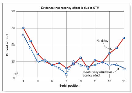 <p>• serial position curve: memory is better for words at the beginning (primacy effect) and end (recency effect) of a list</p><p>• primacy effect: better memory for words at the beginning of a list relies on long-term memory</p><p>• recency effect: better memory for words at the end of a list relies on short term memory (<strong><em>goes away if memory test is delayed)</em></strong></p>
