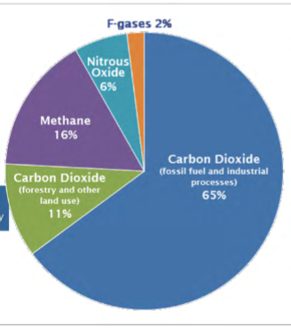 <p>92% of all greenhouse gases contain C: most as CO2 (76%), some as CH4 (16%)</p><p>US emits 2nd most CO2 of any country (15%) of total (behind China @ 30%), but 1st most per capita (2.5x more per capita)</p><p>CH4 (methane) is less abundant than CO2, but 25x more effective at trapping radiation than CO2 and takes much longer to break down, thus remains in atmosphere for longer periods of time</p><p>N2O (nitrous oxide): 3rd most abundant greenhouse gas, but traps 300x more heat than CO2 and can remain 100x longer in atmosphere</p><p>other: fluorinated gases not as abundant in atmosphere but extremely powerful and long-lived</p><p>global warming potentials: CO2 = 1, CH4 = 25, N2O = 298, HFCs = 12-14800, PFCs = 7390-12200, NF3 = 17200, SF6 = 22800 </p><p>current atmospheric CO2, CH4, and N2O) levels are higher than any point in nearly 1 million years</p><p>past levels of greenhouse gases are mainly found by dating ice cores (air bubbles in ice cores)</p><p>amount of greenhouse gases in atmosphere and global temp are directly positively correlated</p>