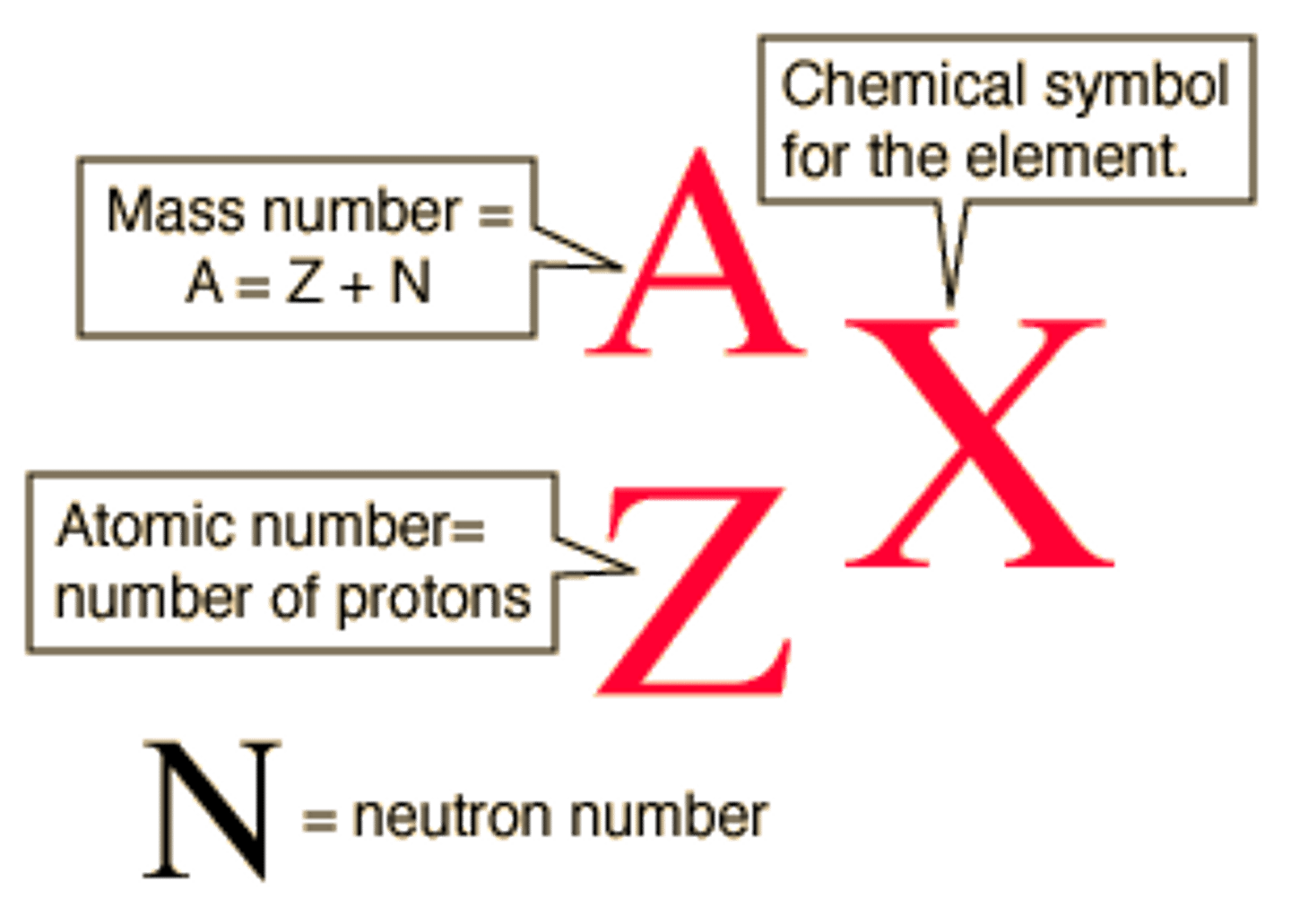 <p>mass number=number of protons + nuetrons</p>