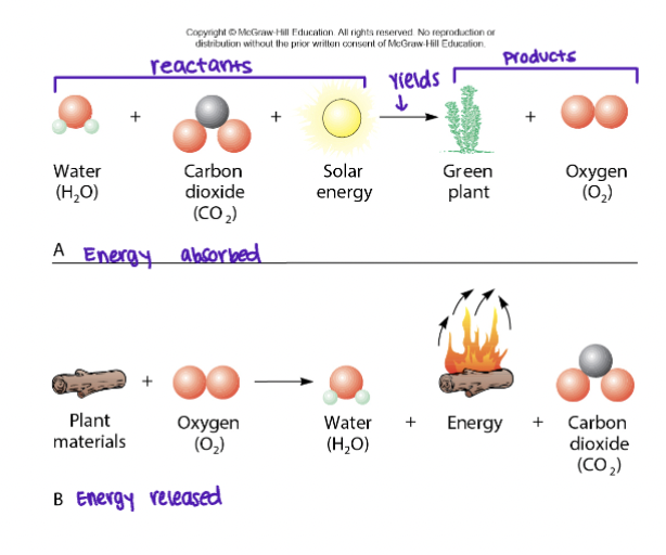 <p>Formation and/or breaking of chemical bonds to form new molecules (products) from old ones (reactants)</p>