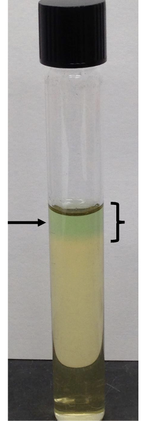 <p><span><span>thioglycolate broth tube</span></span></p>