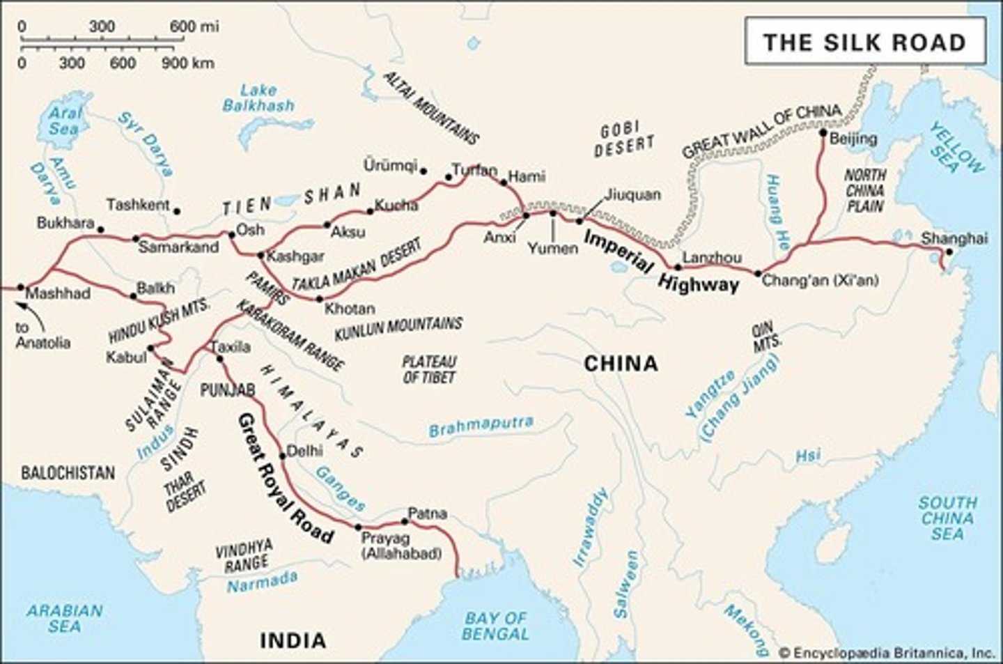 <p>Silk Roads, Trans-Saharan Trade Routes, and Indian Ocean Trade Routes</p>