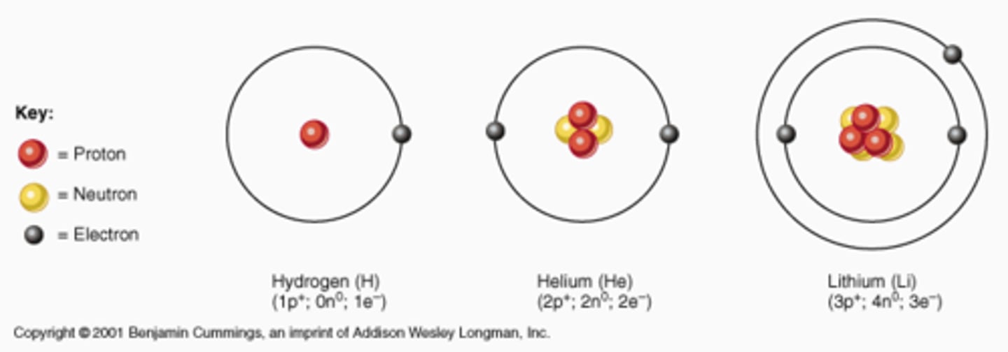 <p>Because Lithium's outer electron is farther away from the nucleus.</p>