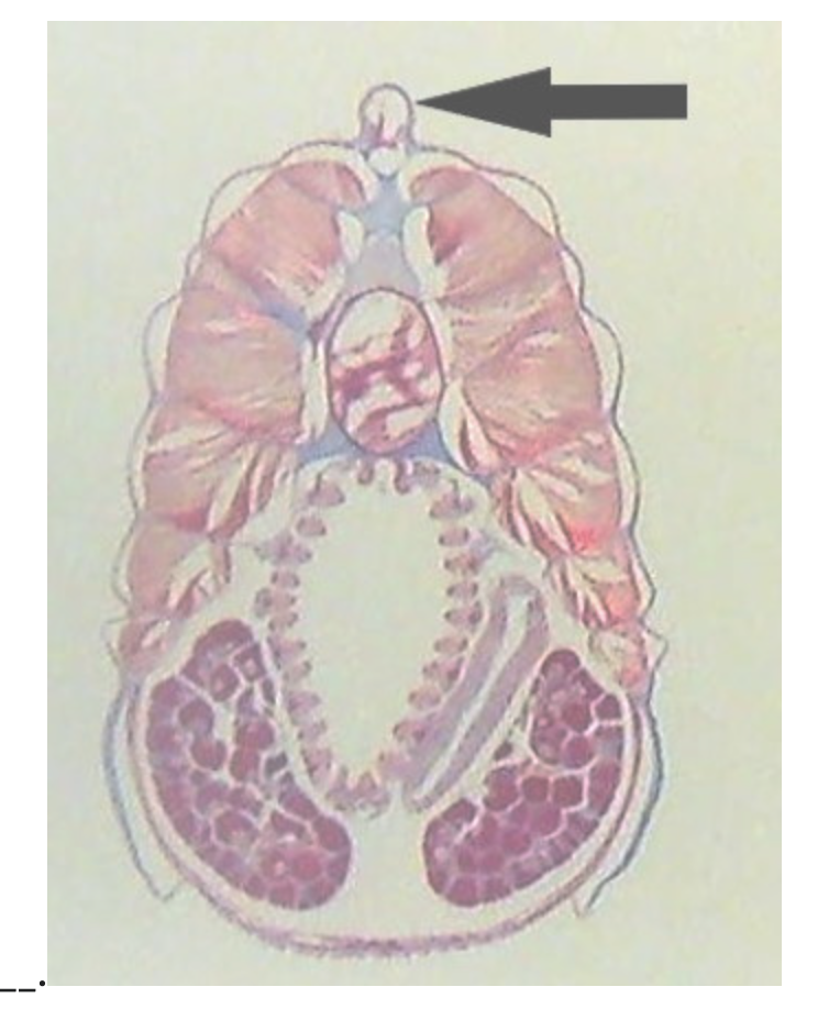 <p></p>