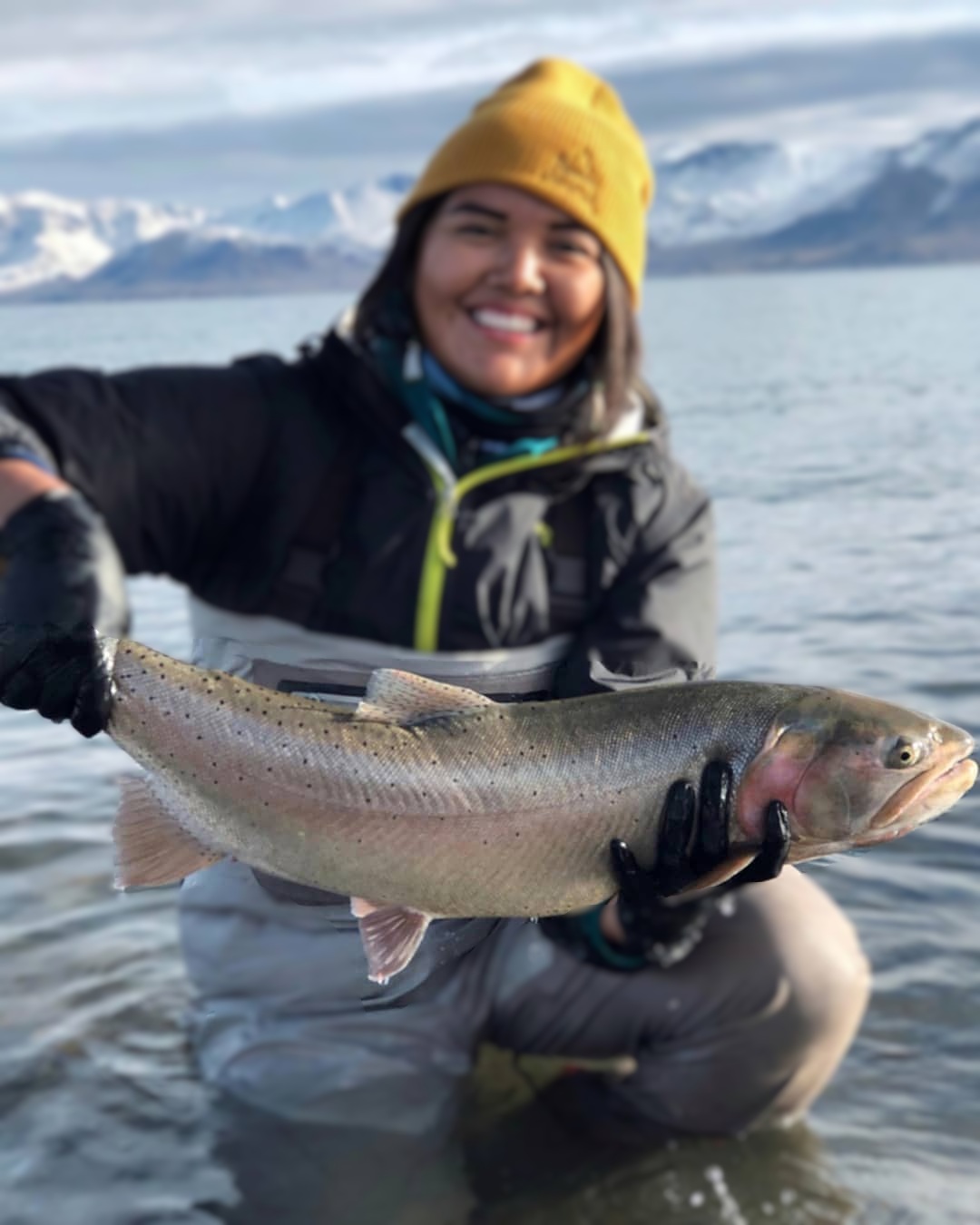 <p>Rainbow Trout</p><p><span style="color: rgb(69, 68, 68);"><em><span>Introduced, from the west coast.</span></em></span></p>