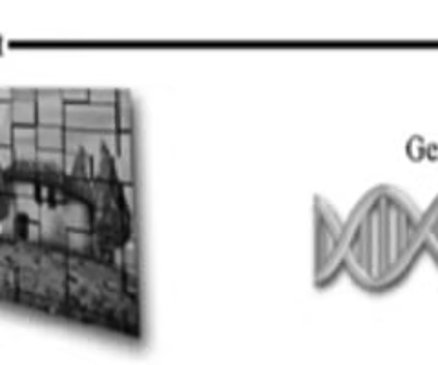 <p>Genotype moderates the effect of an environmental risk factor on a disorder, different from rGE</p>
