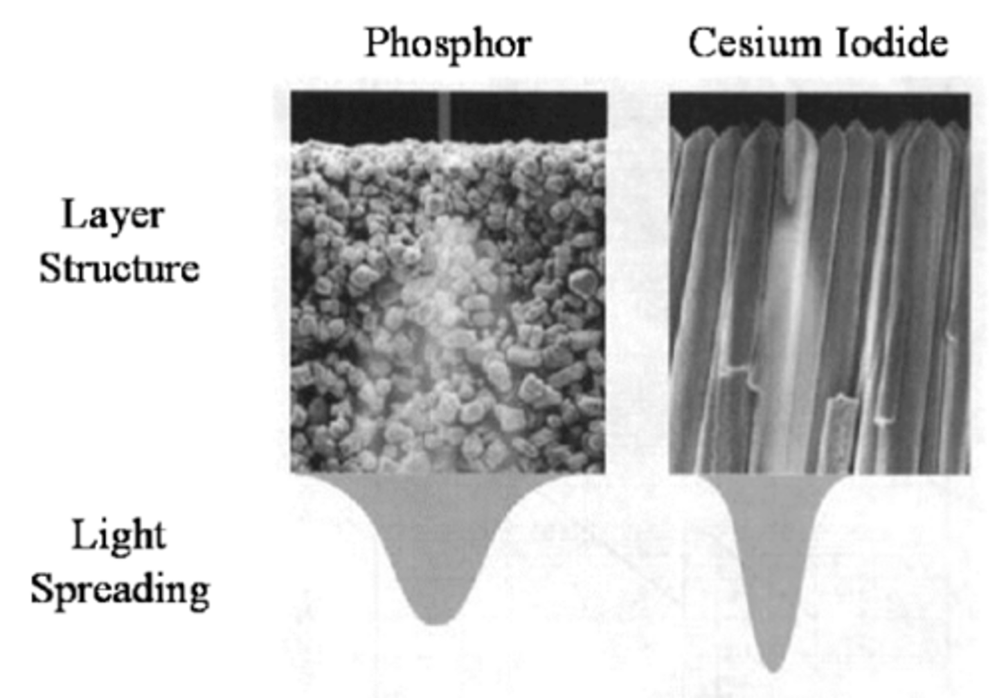 <p>PSP Plate Construction: Phosphor layer</p>