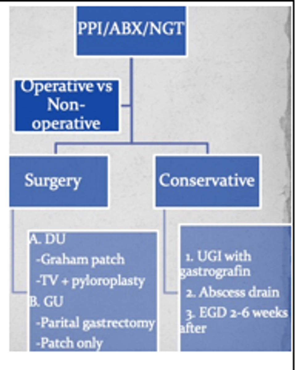 <p>Labs (CBC, CMP, LA, T&amp;S) </p><p>Imaging (CXR/CT > UGI)</p><p>Treat conservatively with ABX, Bowel Rest, &amp; drainage if small or no leak on CT (50% perforated ulcers heal spontaneously) </p><p>or </p><p>Surgery if worsening sx, presentation >24h from onset, large volume pneumoperitoneum, or age >70</p>