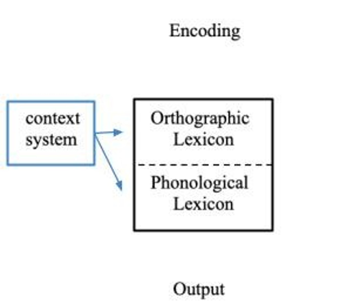 <p>They showed that internal visual images are functionally analogous to perception, with response times varying based on the size of mental objects.</p>