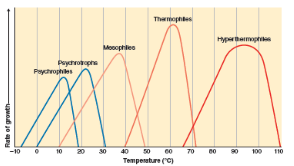 <p>peak of curve</p>