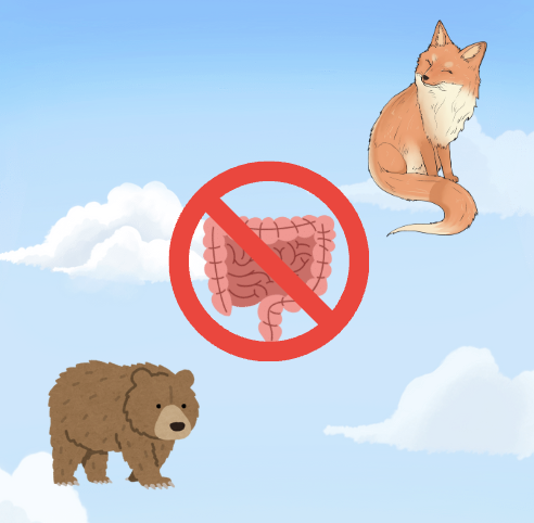 <p>examples of <strong>zoonotic</strong> pathogens of aerobic gram-negative non-enteric bacilli</p>