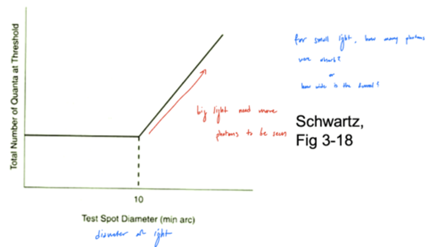 <p>threshold is independent of spot size if quanta in spot remain constant</p><p>english - small lights need 10 quanta to be seen (reach threshold), larger lights need >10 quanta to be seen</p><p>for a light that is 2x width of critical diameter, light would have to contain twice the photon number</p>