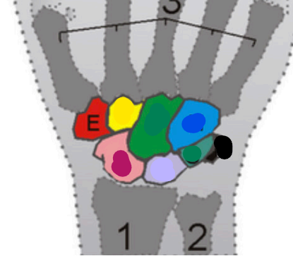 <p><span><span>quel est cette partie?</span></span></p>