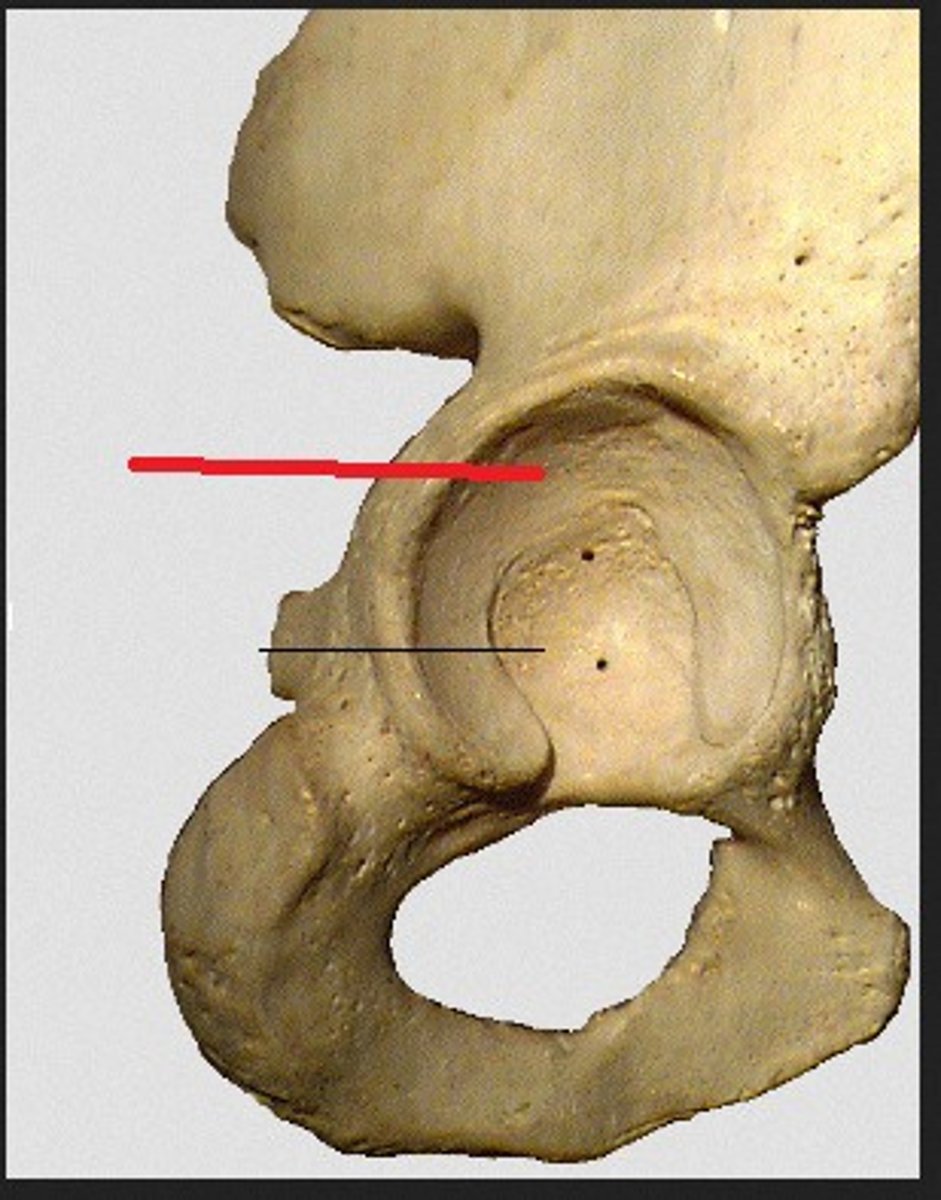 <p>identify</p>