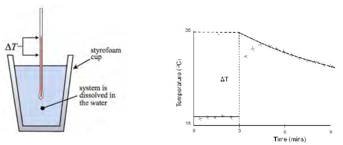 <p>This reaction in particular is exothermic.'</p><p>Anhydrous copper sulfate + aq → Copper sulfate solution</p><ul><li><p>Weigh anhydrous copper sulfate amount 4 grams</p></li><li><p>Place thermometer in polystyrene cup and record the temperature of 25cm cubed of deionised water for every 30 seconds </p></li><li><p>start the timer when adding the anhydrous copper sulfate (stir) and record temperature every 30 seconds for 4 minutes</p></li><li><p>Plot a graph with the temperature on y axis and time of x-axis. Draw two separate best fit lines, and one that joins the points after addition, extrapolate the lines to the fourth minute.</p></li><li><p>Use the graph to determine the temperature change at the fourth minute, which is the theoretical temperature rise as soon as addition of solid</p></li></ul><p></p>