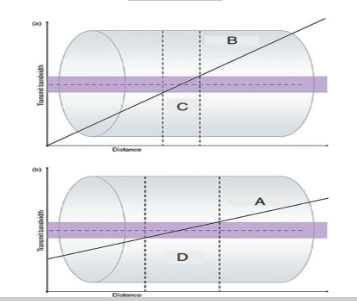 <p><span><span>What is ”D”?</span></span></p>