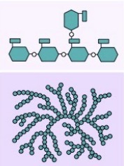 <p>What is this?</p>