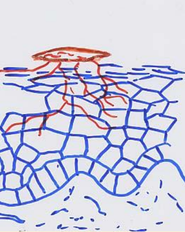 <p>What does this image illustrate?</p>