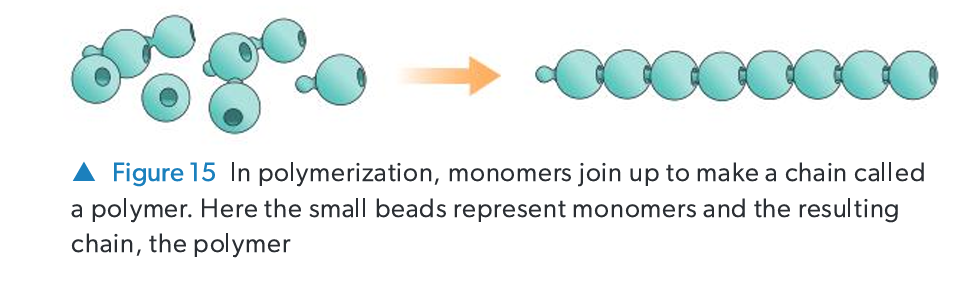 <ul><li><p><strong>Monomer:</strong> A small molecule that acts as the basic repeating structural unit.</p></li><li><p><strong>Polymer:</strong> A large molecule (macromolecule) formed by linking many monomer units together via covalent bonds.</p></li></ul><p></p>