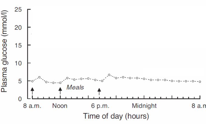 <p>Very little fluctuations, generally stays around 5mmol/L </p>