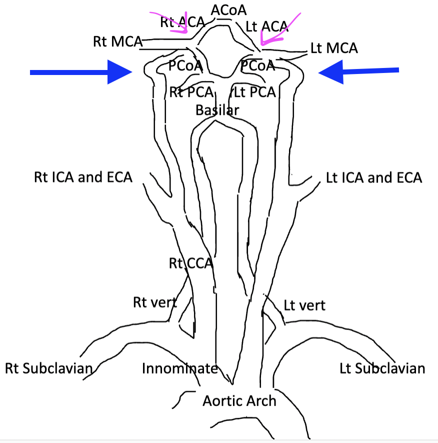 <p>What are the segments of the ICA intracranially </p>