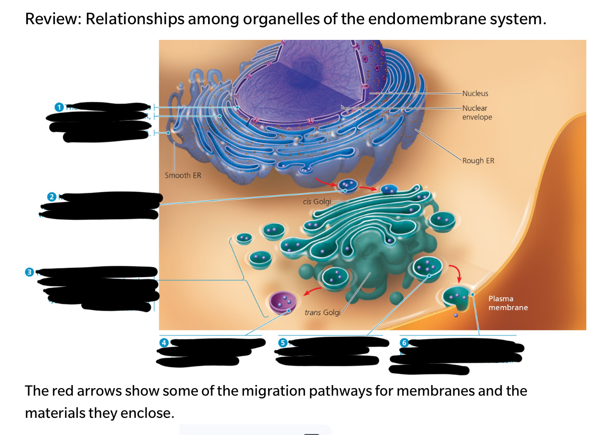 <p><span style="font-family: Arial-BoldMT; font-size: 14.67px;"><strong>Fill in the missing information.</strong></span></p>